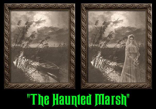 Haunted Memories 'Haunted Marsh" Spooky Changing Portrait (1 of 1)
