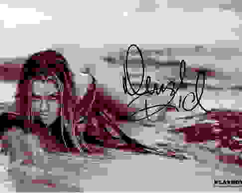 Denise Richards Playboy In Person Signed Photo Auction