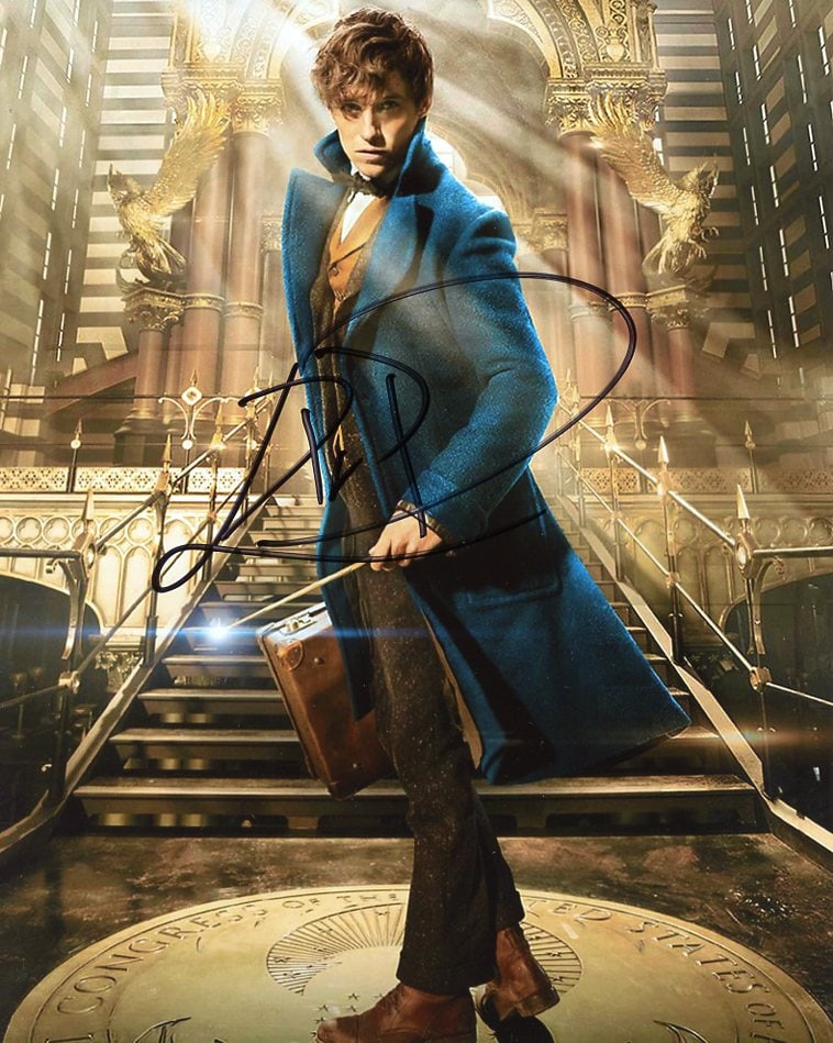 Eddie Redmayne FANTASTIC BEASTS In Person Signed Photo (1 of 1)