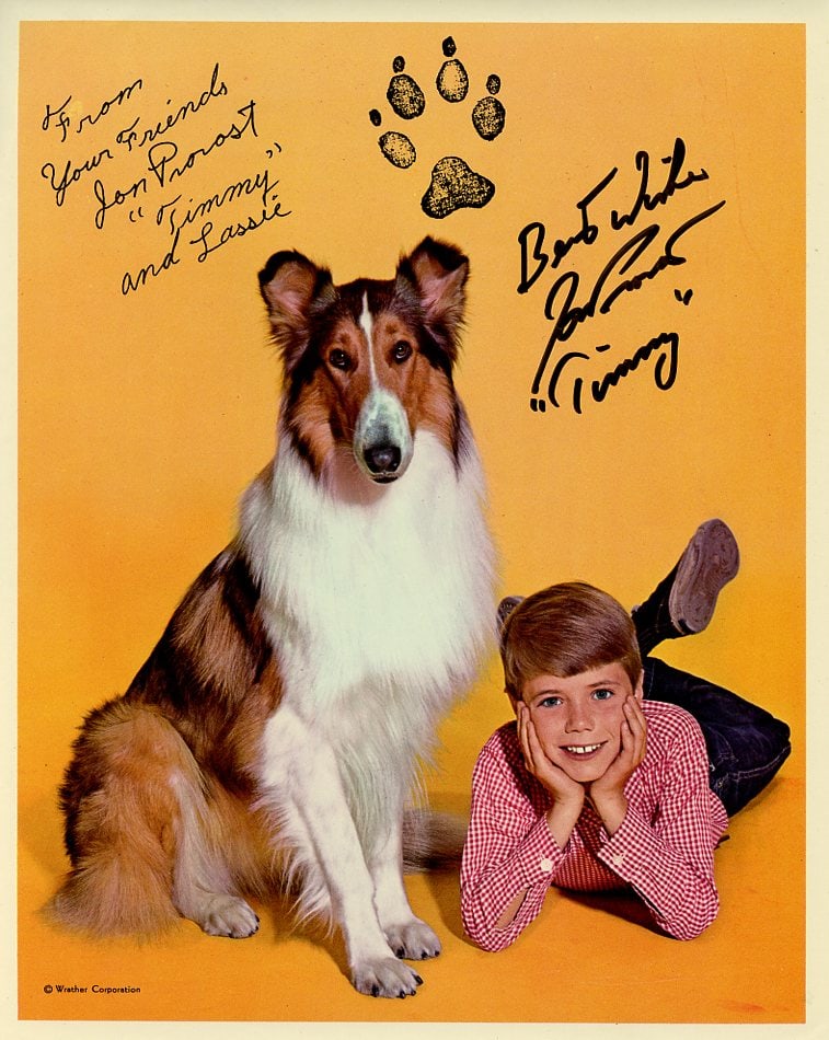 Jon Provost LASSIE In Person Signed Photo (1 of 1)