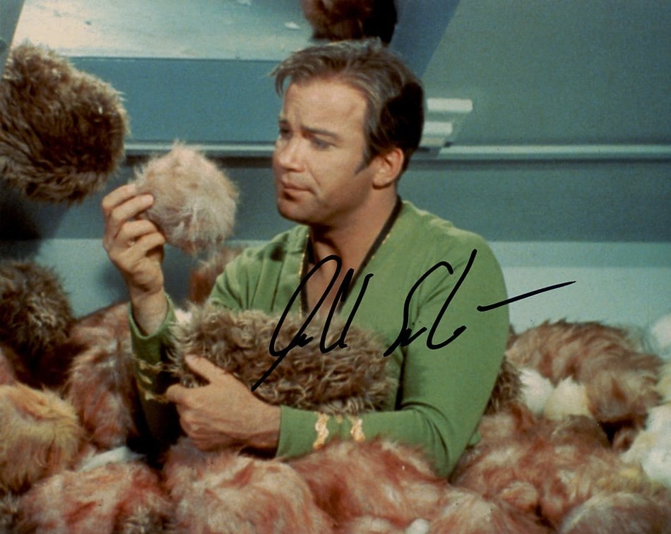 William Shatner STAR TREK In Person Signed Photo (1 of 1)