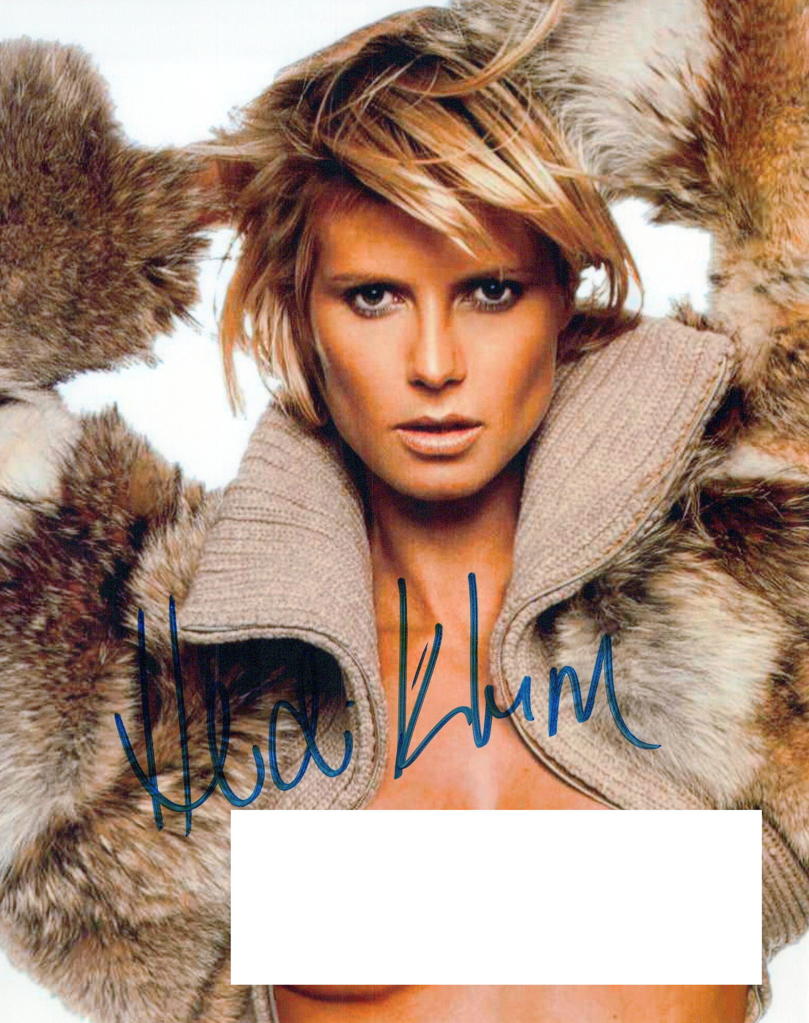 Heidi Klum VICTORIA SECRETS / PROJECT RUNWAY In Person Signed Photo (1 of 1)