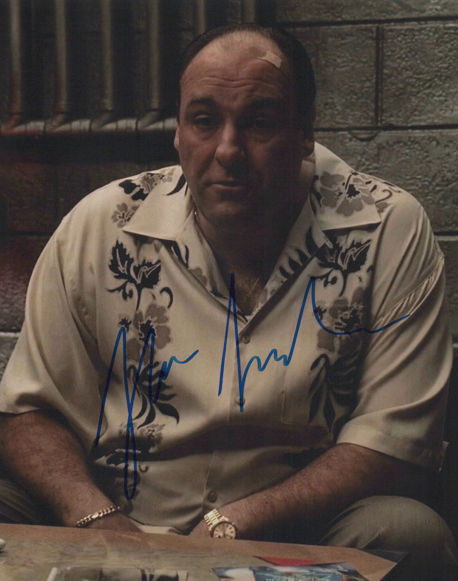 James Gandolfini  SOPRANOS In Person Signed Photo (1 of 1)