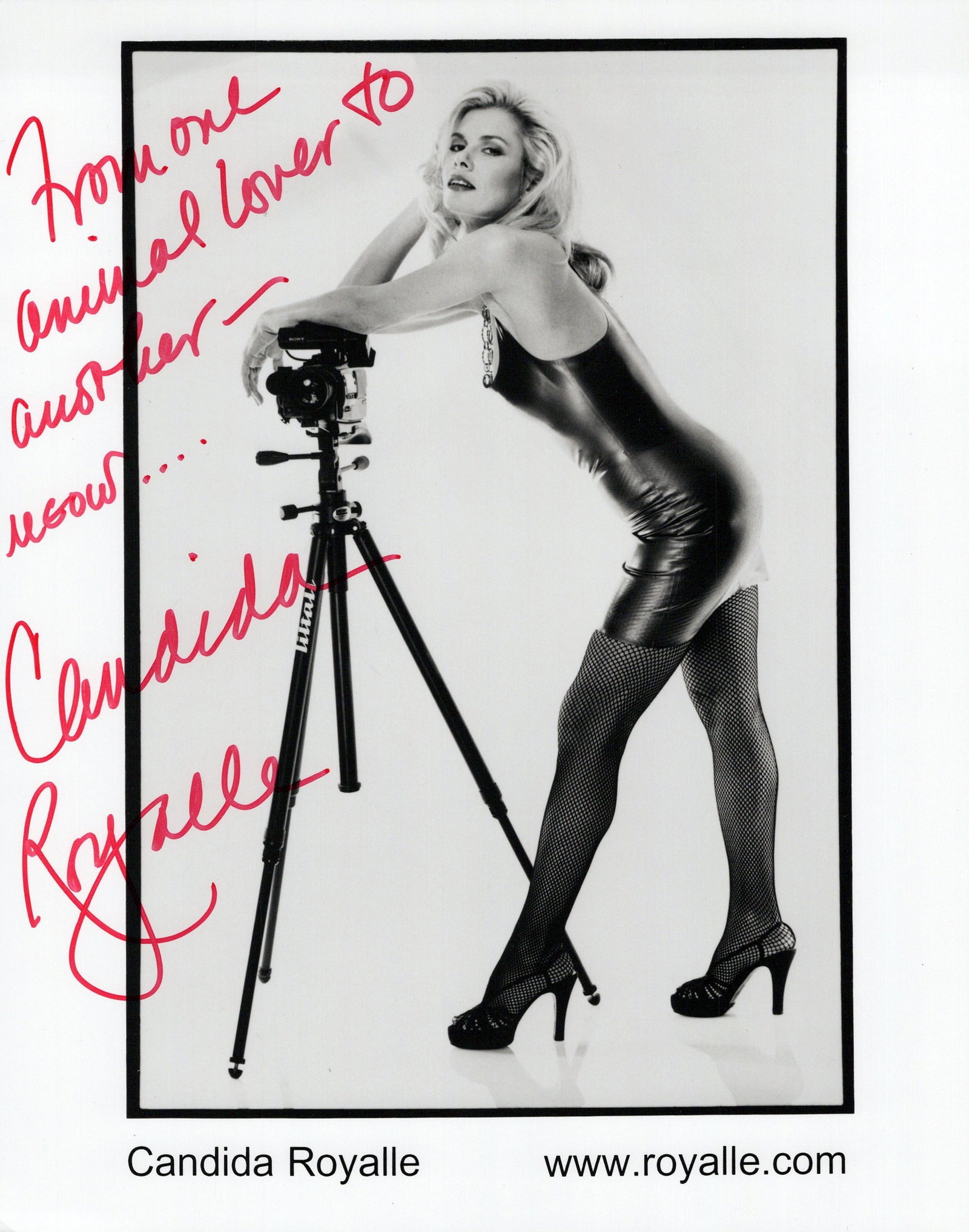 Candida Royalle (1950-2015) AMERICAN PRODUCER Signed Photo (1 of 1)