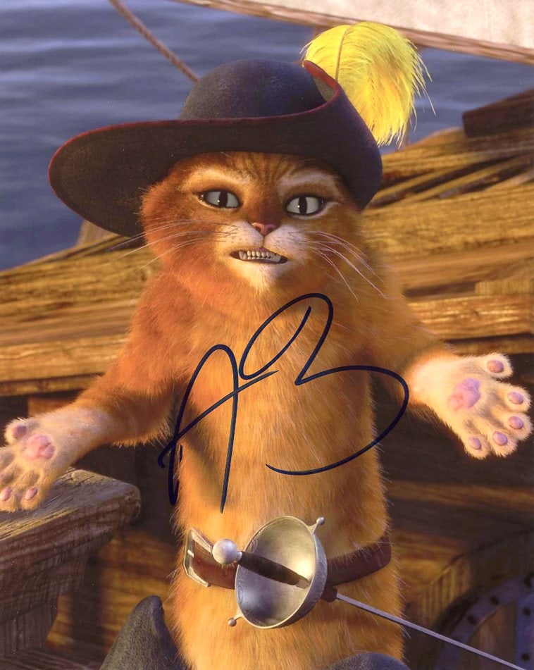 Antonio Banderas SHREK In Person Signed Photo: Photo size is 8x10. Antonio Banderas in person signed autographed photo from one of the SHREK movies. Antonio Banderas as the character Puss in Boots