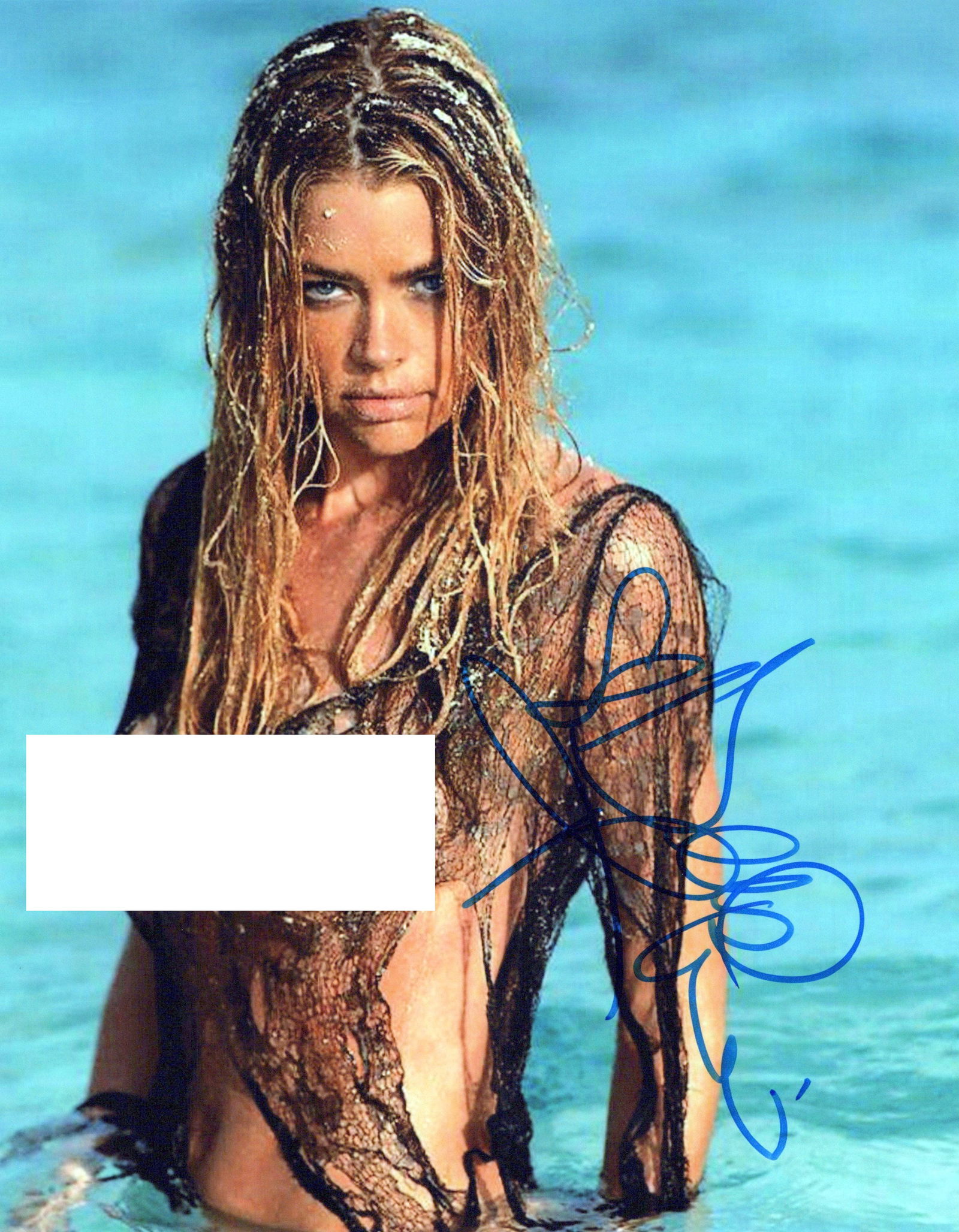 Denise Richards PLAYBOY / STARSHIP TROOPERS In Person Signed Photo (1 of 1)