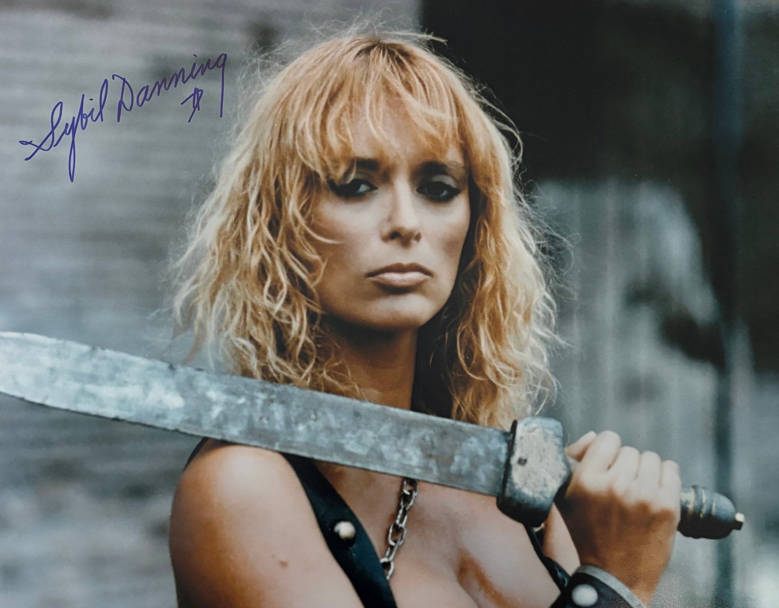Sybil Danning 7 MAGNIFICENT GLADIATORS In Person Signed Photo: Photo size is 11x14. PRIVATE SIGNING. Sybil Danning in person signed photo from the movie THE SEVEN MAGNIFICENT GLADIATORS. Sybil Danning as the character Julia.