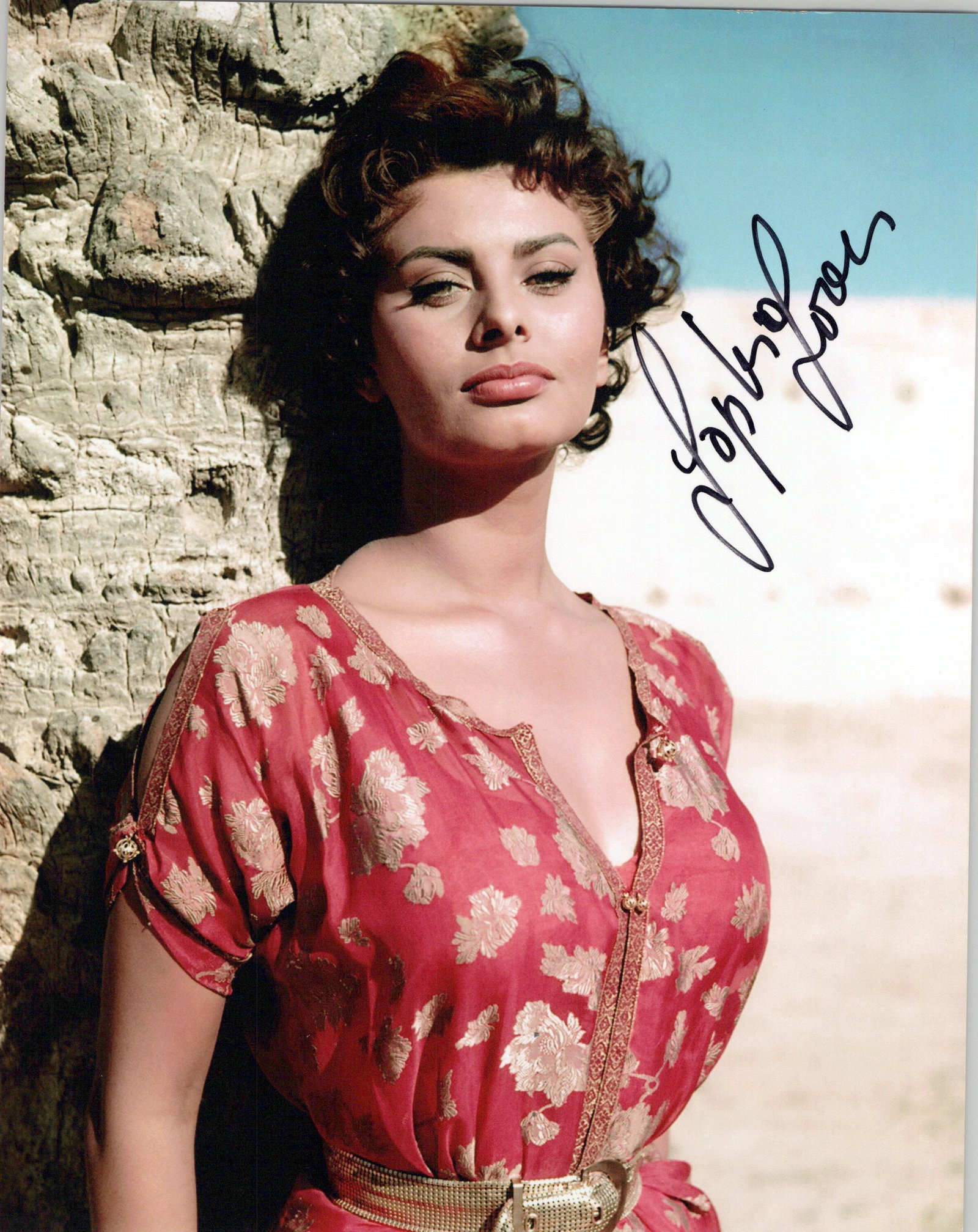 Sophia Loren ARABESQUE / TWO WOMEN In Person Signed Photo (1 of 1)