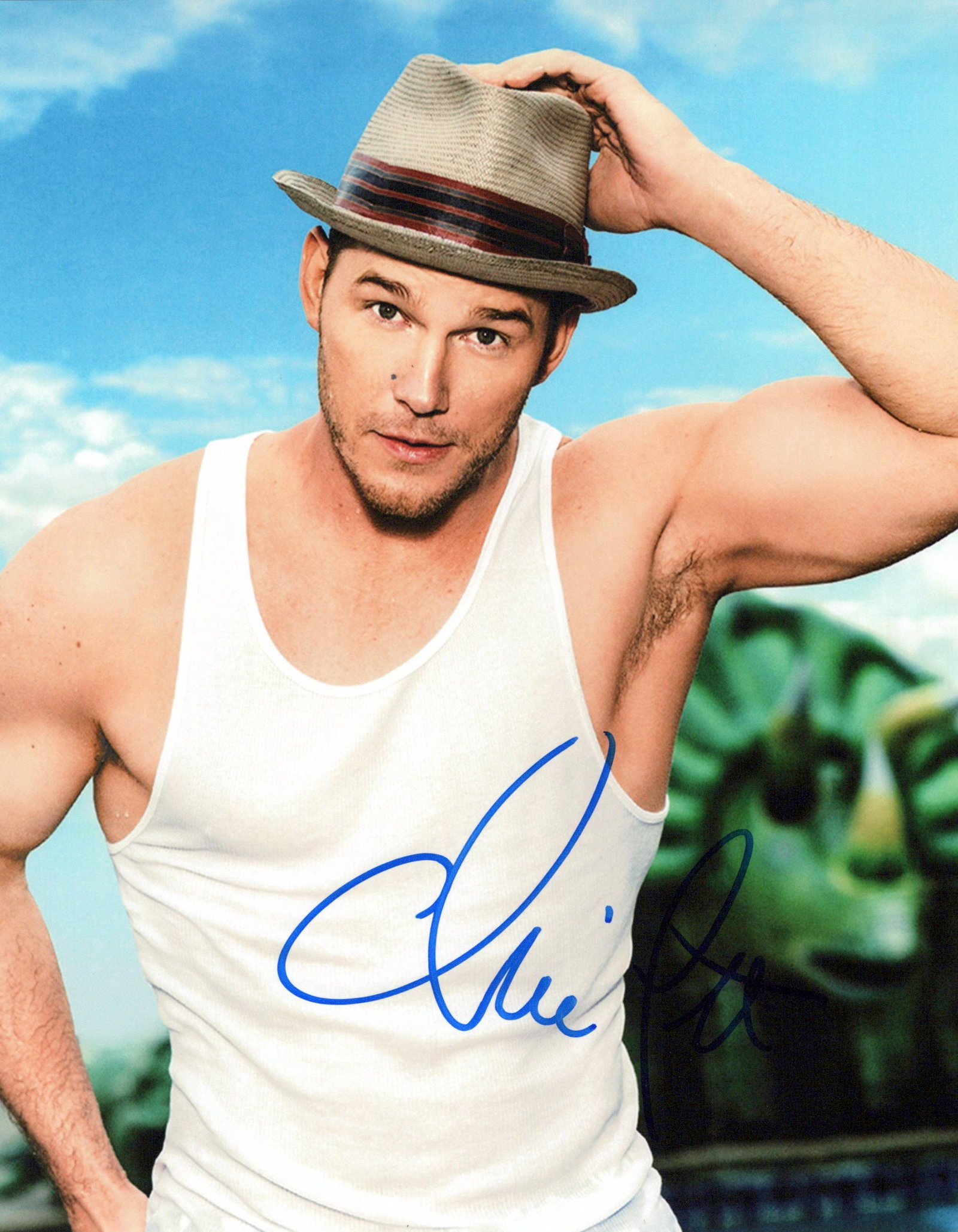 Chris Pratt AVENGERS / GUARDIANS GALAXY In Person Signed Photo: Photo size is 8x10. Chris Pratt in person signed photo. Chris Pratt has done such movies as THE AVENGERS, GUARDIANS OF THE GALAXY, and MERCY.