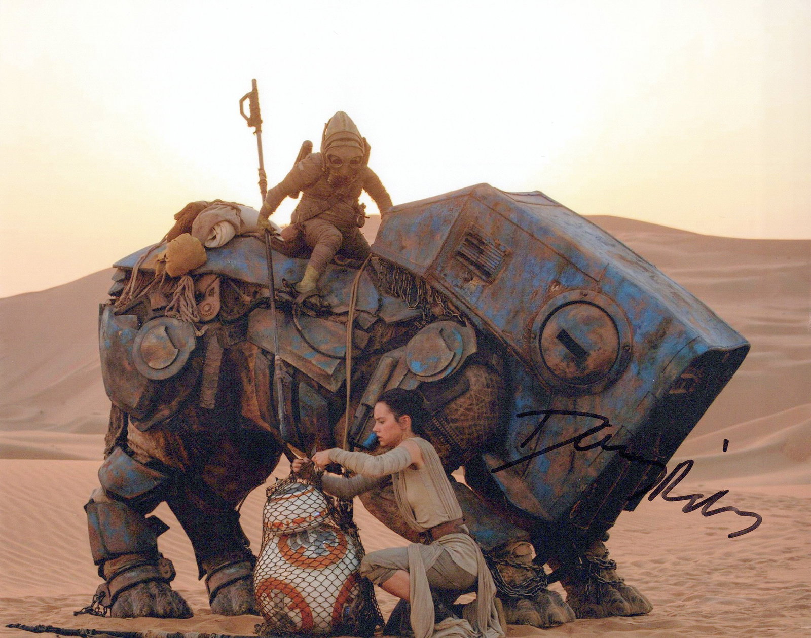 Daisy Ridley STAR WARS FORCE AWAKENS In Person Signed Photo: Photo size is 8x10. PLEASE NOTE: signed FULL name! Daisy Ridley in person signed autographed photo from the movie STAR WARS THE FORCE AWAKENS. Daisy Ridley as the character Rey.