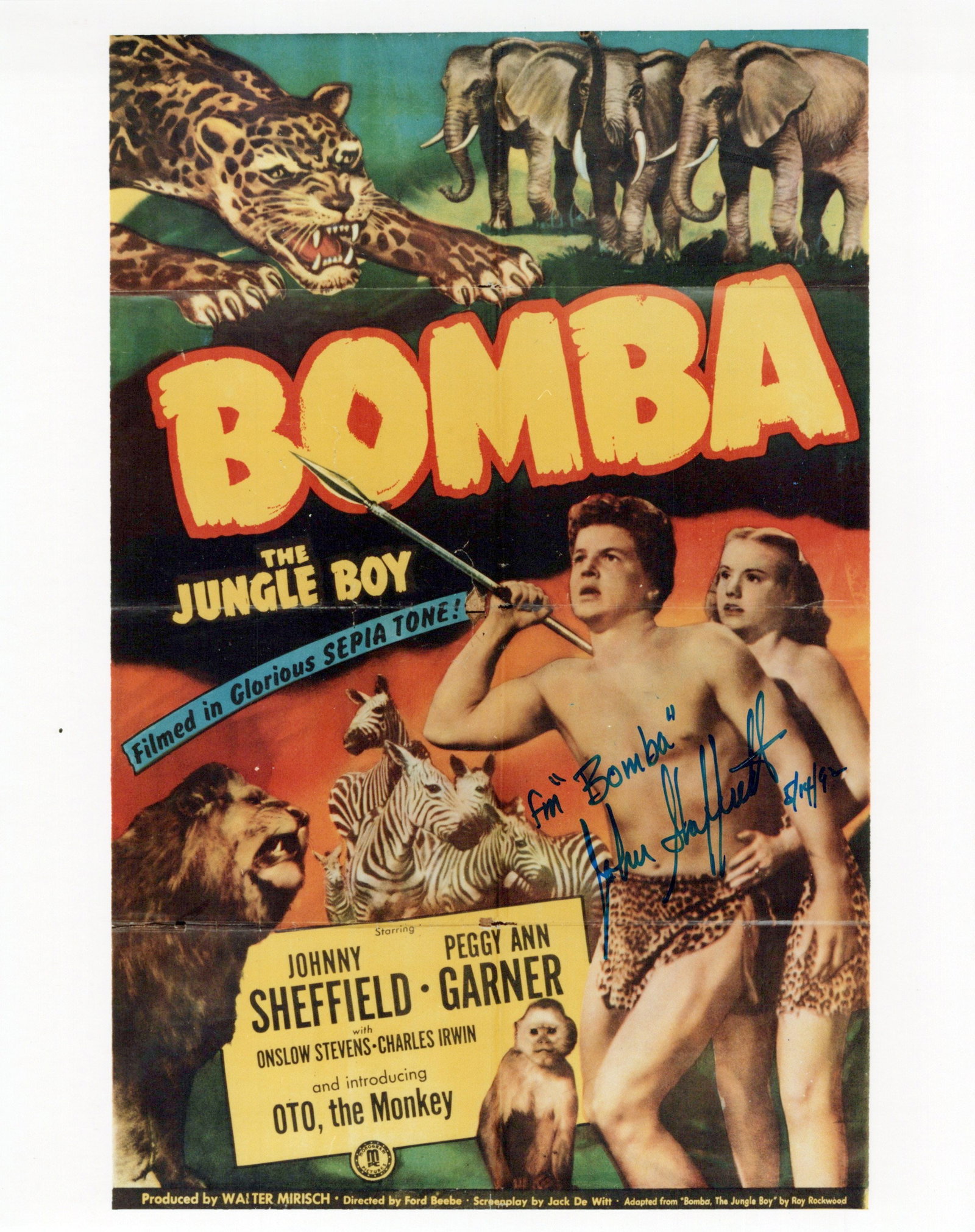 Johnny Sheffield (1931-2010) BOMBA In Person Signed Photo: Photo size is 8x10. Johnny Sheffield (1931-2010) signed photo from the movie BOMBA. Johnny Sheffield as the character Bomba