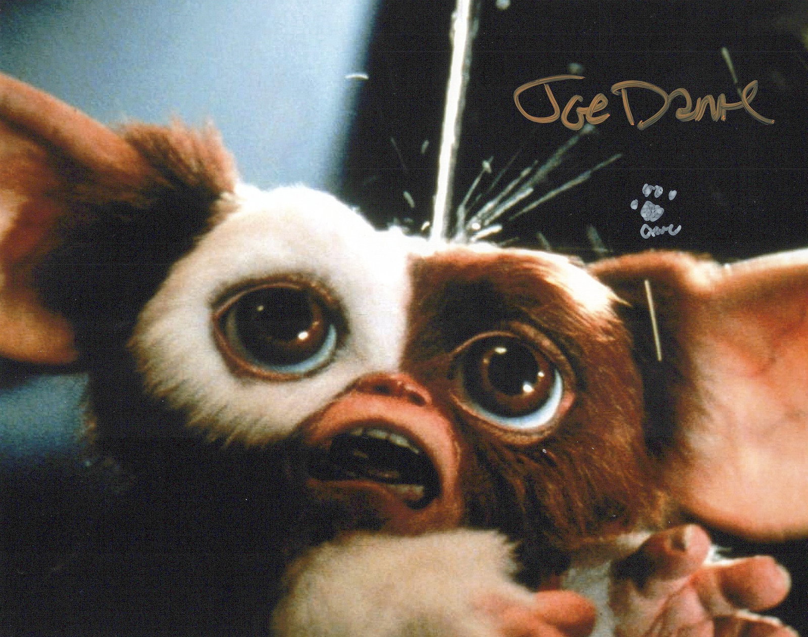 Joe Dante DIRECTOR / GREMLINS In Person Signed Photo (1 of 1)