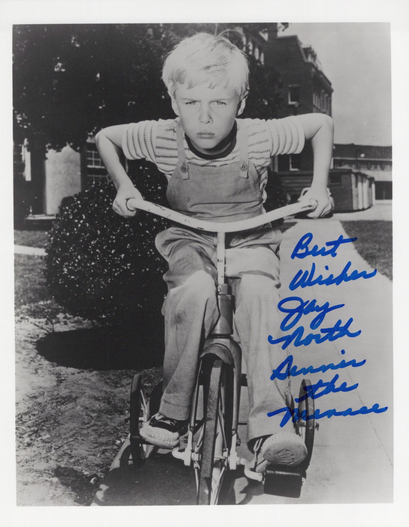 Jay North (1951-2025) DENNIS THE MENACE In Person Signed Photo (1 of 1)