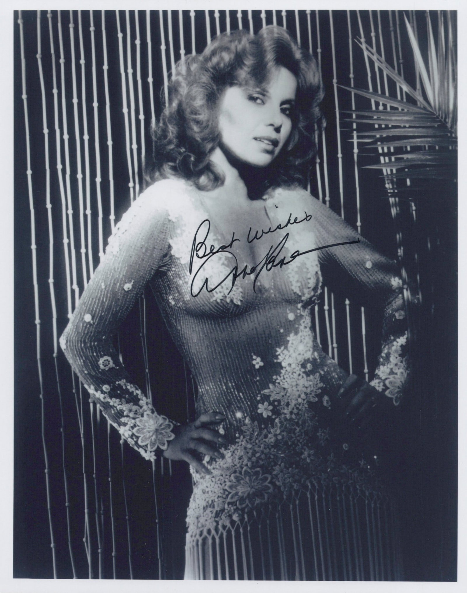 Abbe Lane - (1931-2026) SINGER / ACTRESS In Person Signed Photo: Photo size is 8x10. Abby Lane (1931-2026) inperson signed photo. Abigail Francine Lassman, known professionally as Abbe Lane, was an American singer and actress. Lane was known in the 1950s and 1960s 