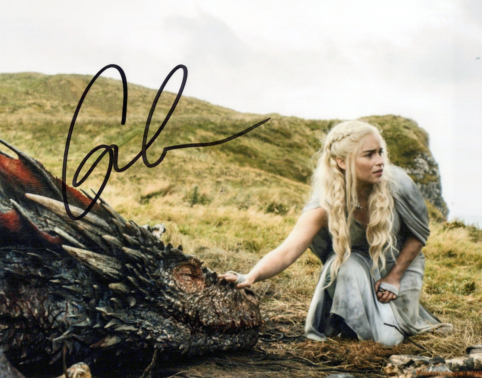 Emelia Clarke GAME OF THRONES In Person Signed Photo: Photo size is 8x10. Emilia Clarke in person signed auutographed photo from the HBO series GAME OF THRONES. Emilia Clark as the character Daenerys Targaryen.
