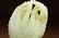 A CHINESE FINE WHITE JADE CARVING OF A FINGER CITRON, - 5