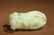 A CHINESE FINE WHITE JADE CARVING OF A FINGER CITRON, - 7