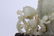 A CHINESE FINE WHITE JADE CARVING DRAGON CARP WITH - 3
