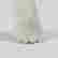 item-128009988=5