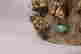 item-128010004=3
