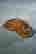 item-131179043=2