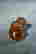 item-131179043=5