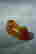 item-131179043=6