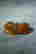 item-131179043=7