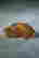 item-131179043=8