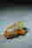 item-131179078=2