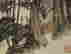 item-131179113=9