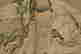 item-131179145=8