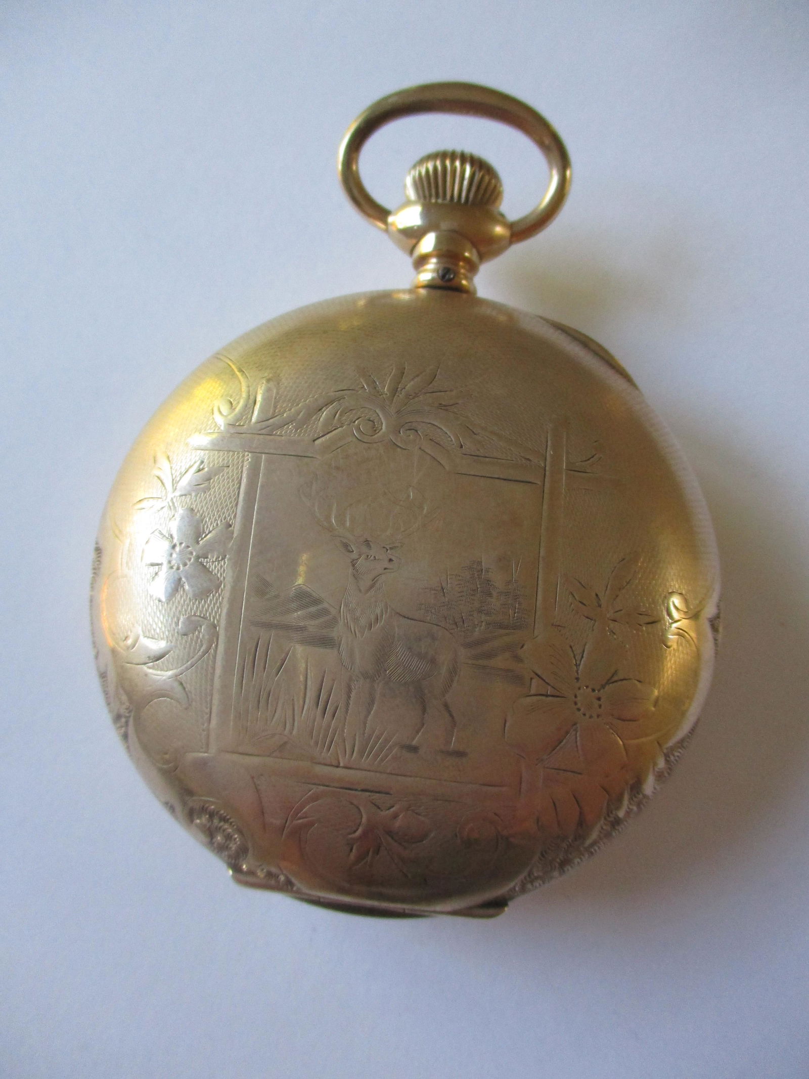 Elgin 18S BW Raymond Gold Plated Pocket Watch (1 of 7)
