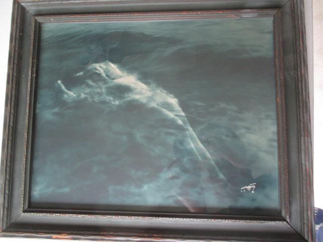Edward Sheriff Curtis Photo "Floating Aphrodite" (1 of 5)