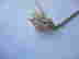 item-116672590=3