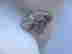 item-116672598=3