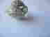item-116672600=2