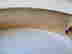 item-116672608=4