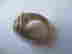 item-116672610=4