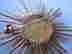item-116672684=3