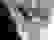 item-8535538=2