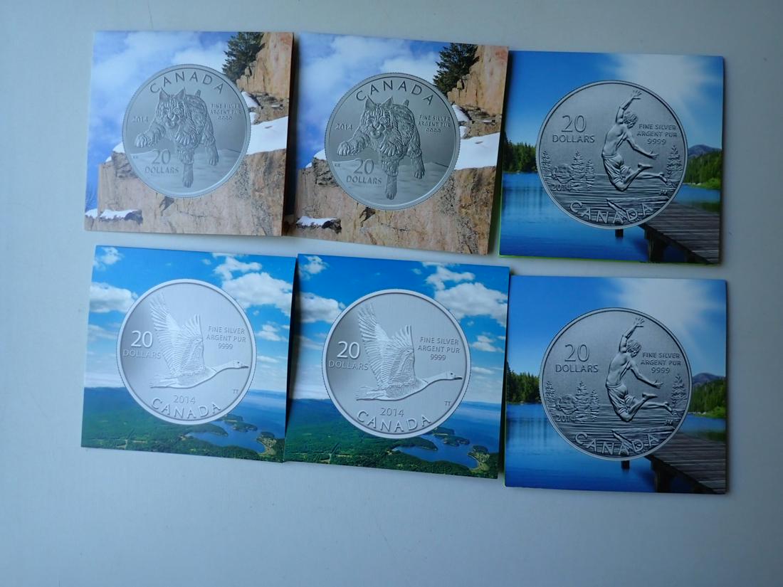 2014 Canadian Mint Silver Coins (1 of 9)