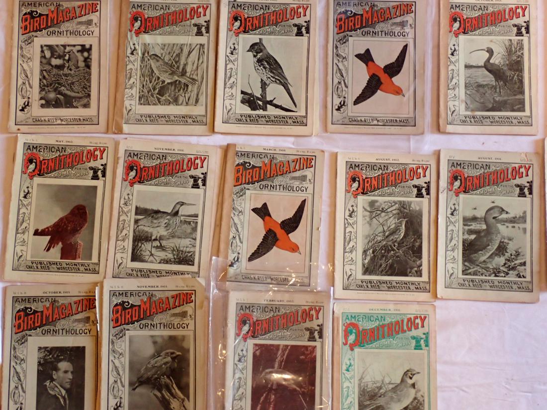 Early 1900s Bird Magazines of American Ornithology: Worcester. by Charles J. Reed. Please see photos and come to the 2 day preview for condition.