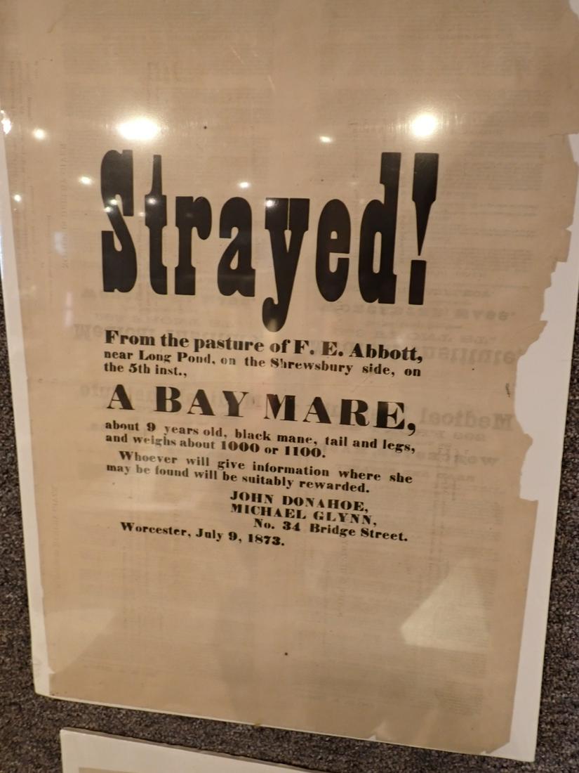 Strayed-A Bay Mare Worcester July 9, 1873 Broadside (1 of 5)