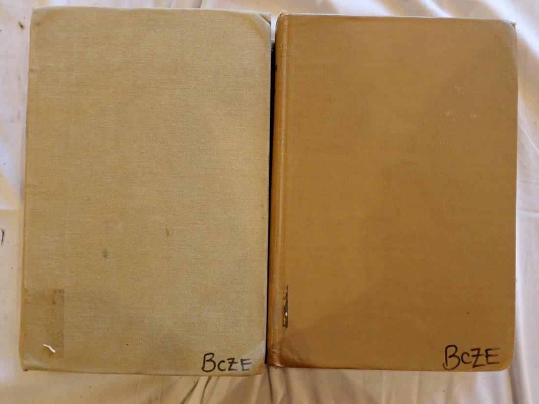 2 Volumes History of Worcester County: History of Worcester County, Massachusetts with Biographical Sketches of Many of its Pioneers and Prominent Men. By D. Hamilton Hurb Vol. 2 Pt 1 and Volume 2 Pt. 2 1889. Missing and chipped pages. Ple