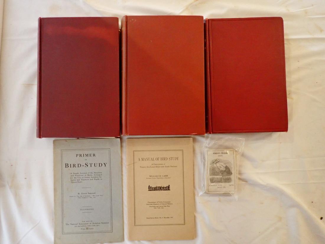 Birds Antique Books and Cards: 5 Books & Pack of Cards: 1903 Key to North American Birds Elliott Coves Fifth Edition Vol 1 & 2, 1907 Useful Birds and Their Protection Edward Howe for Bush (some wear, overall good condition), 1916 P