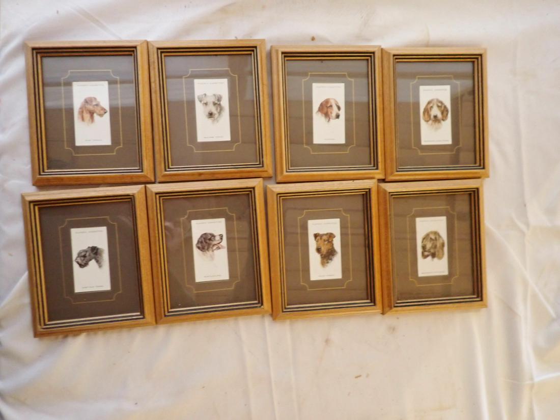 Framed Dog Tobacco Cards (1 of 6)