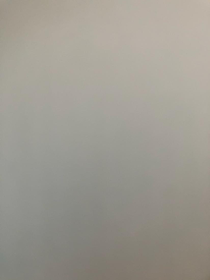 Ivan Petrovsky Untitled (Signed) Charcoal on Paper Framed (1 of 5)