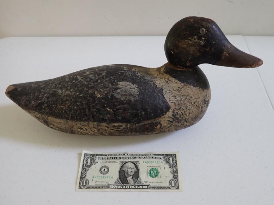 Vintage Wooden Duck Decoy. Black, White, Red/Brown Beak: 15". Missing one glass eye. Has carving marks. Head Rotates. Some wear with chip on tail.