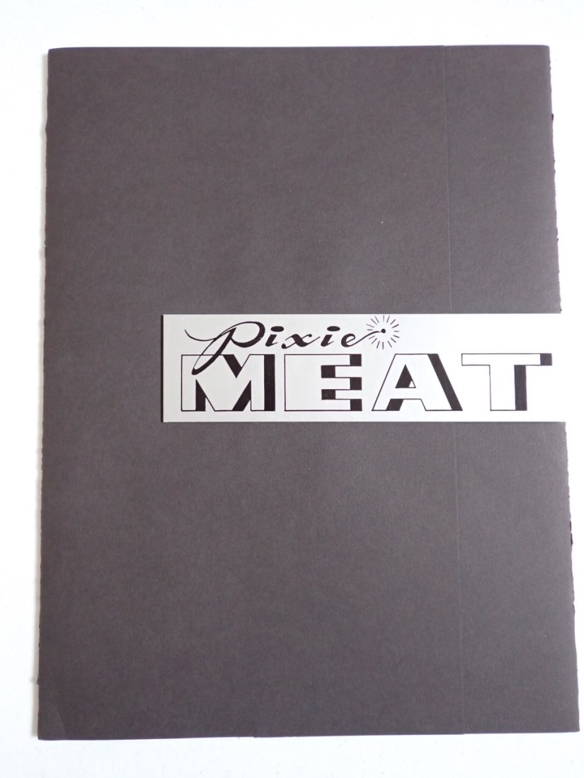 Pixie meat 1990. Gary Panter & Tom DeHaven Book. (1 of 13)